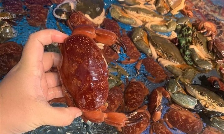 Đặc sản vùng biển ngon 