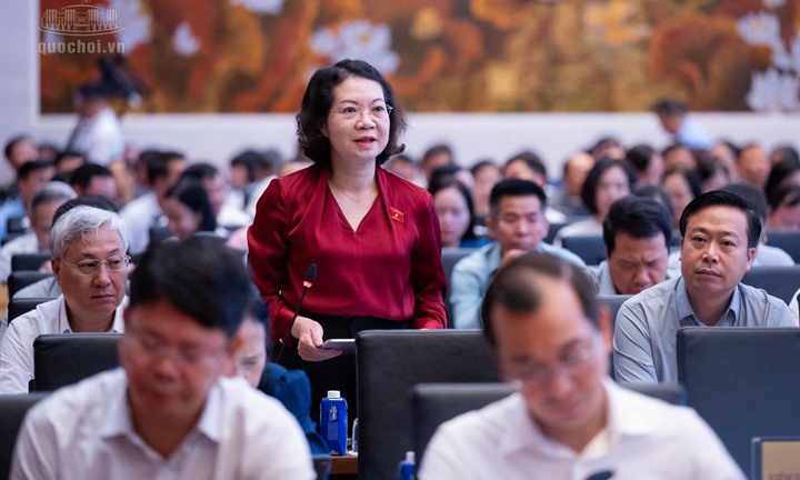 ĐBQH đề nghị đánh giá kỹ tăng mức phạt hành chính tối đa 1,5 tỷ đồng với cá nhân
