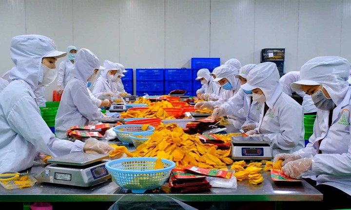 Chế biến nông sản đông lạnh, tính thuế GTGT thế nào?