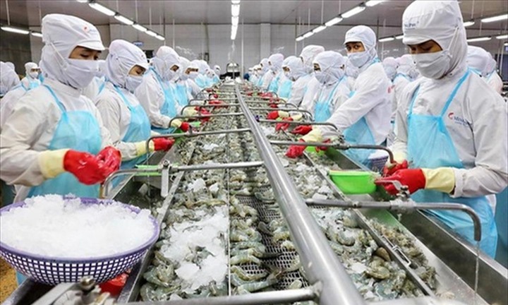 Kiến nghị tháo gỡ vướng mắc thuế cho doanh nghiệp thủy sản