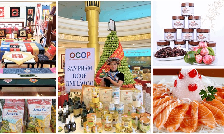 Lào Cai ban hành Quy chế hoạt động của Hội đồng đánh giá, phân hạng sản phẩm OCOP cấp tỉnh