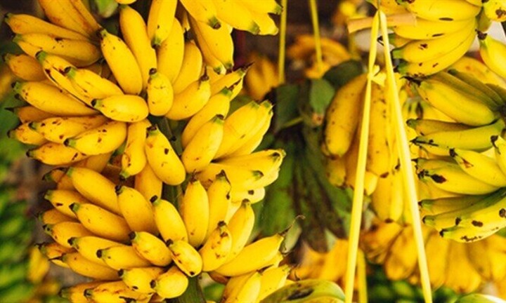 Một loại chuối là đặc sản ở Ninh Bình, vỏ vàng óng, thịt dẻo thơm, ngọt thanh