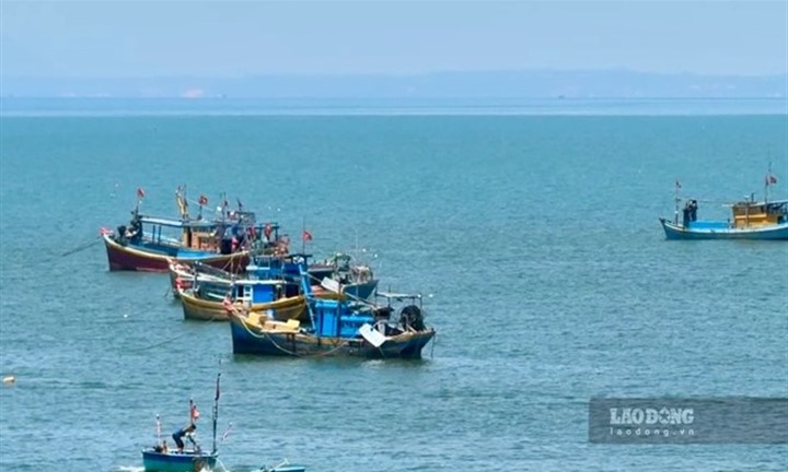 Thuyền viên tử vong trên đường vào bờ biển Lâm Đồng:  Thông tin về nội dung cuộc gọi cuối với mẹ