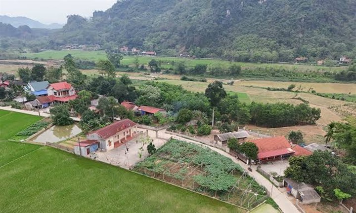 Đất nguồn gốc khác nhau không bắt buộc tách thửa khi cấp sổ