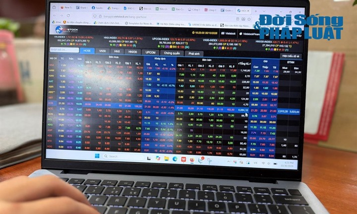 Thanh tra Chứng khoán Nhà nước xử phạt Công ty cổ phần Nhựa Tân Đại Hưng