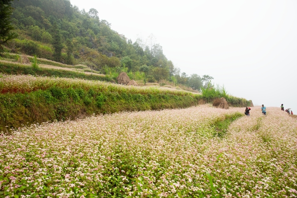 Du lịch dịp lễ 30/4: Lựa chọn đa dạng của du khách Việt - 2