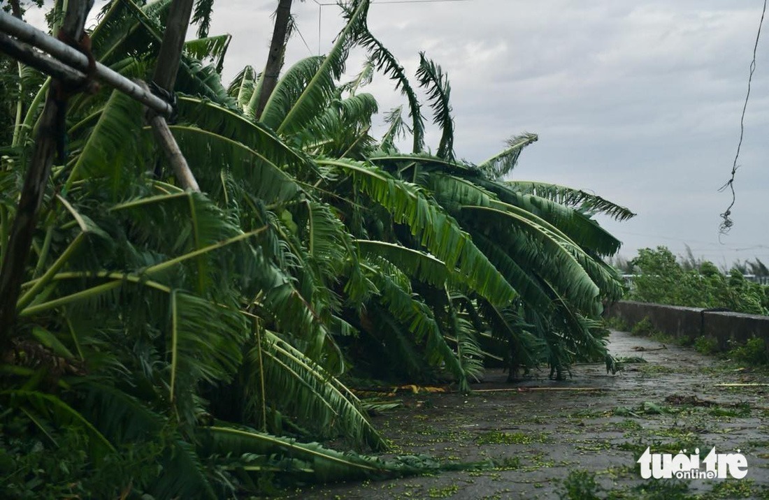 Toàn cảnh bão số 3: Hình ảnh kinh hoàng và những con số  - 14