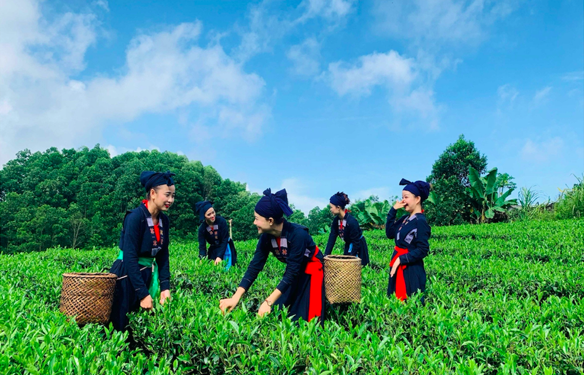 Bí thư huyện Phú Lương, Thái Nguyên: "Bài toán phát triển và nâng cao đời sống người dân" - 4