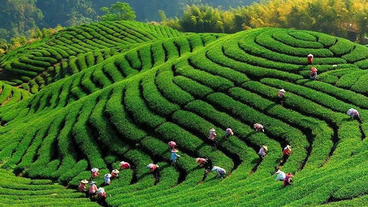 Bí thư huyện Phú Lương, Thái Nguyên: "Bài toán phát triển và nâng cao đời sống người dân" - 5