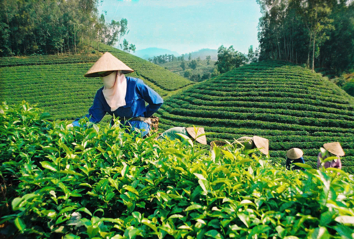 Thái Nguyên: Phát triển nội lực nền kinh tế – Chìa khóa cho tăng trưởng hai con số - 11