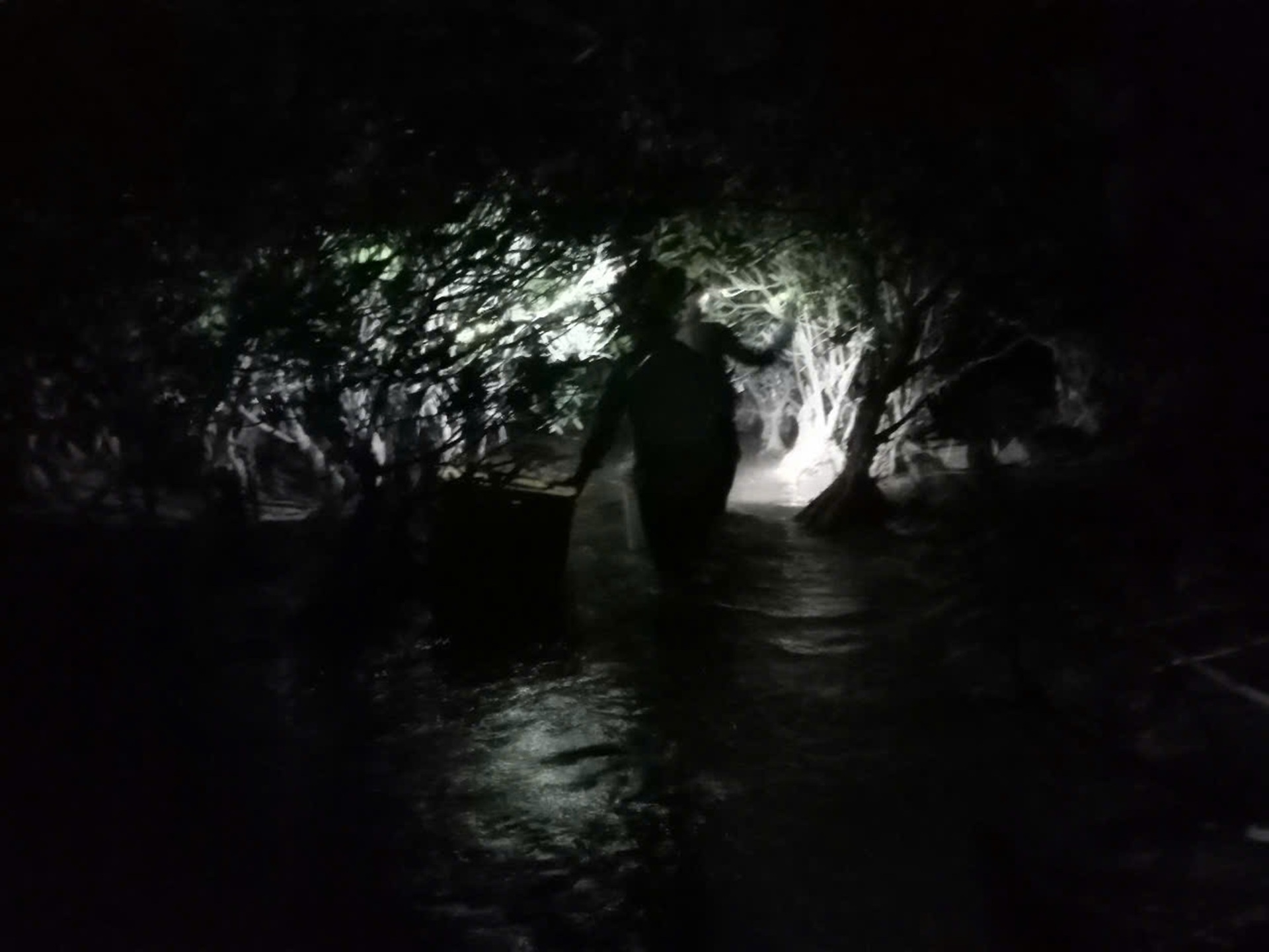 Nhọc nhằn mưu sinh theo dòng nước nổi: Nghề "săn" cáy biển ở Nam Định - 3