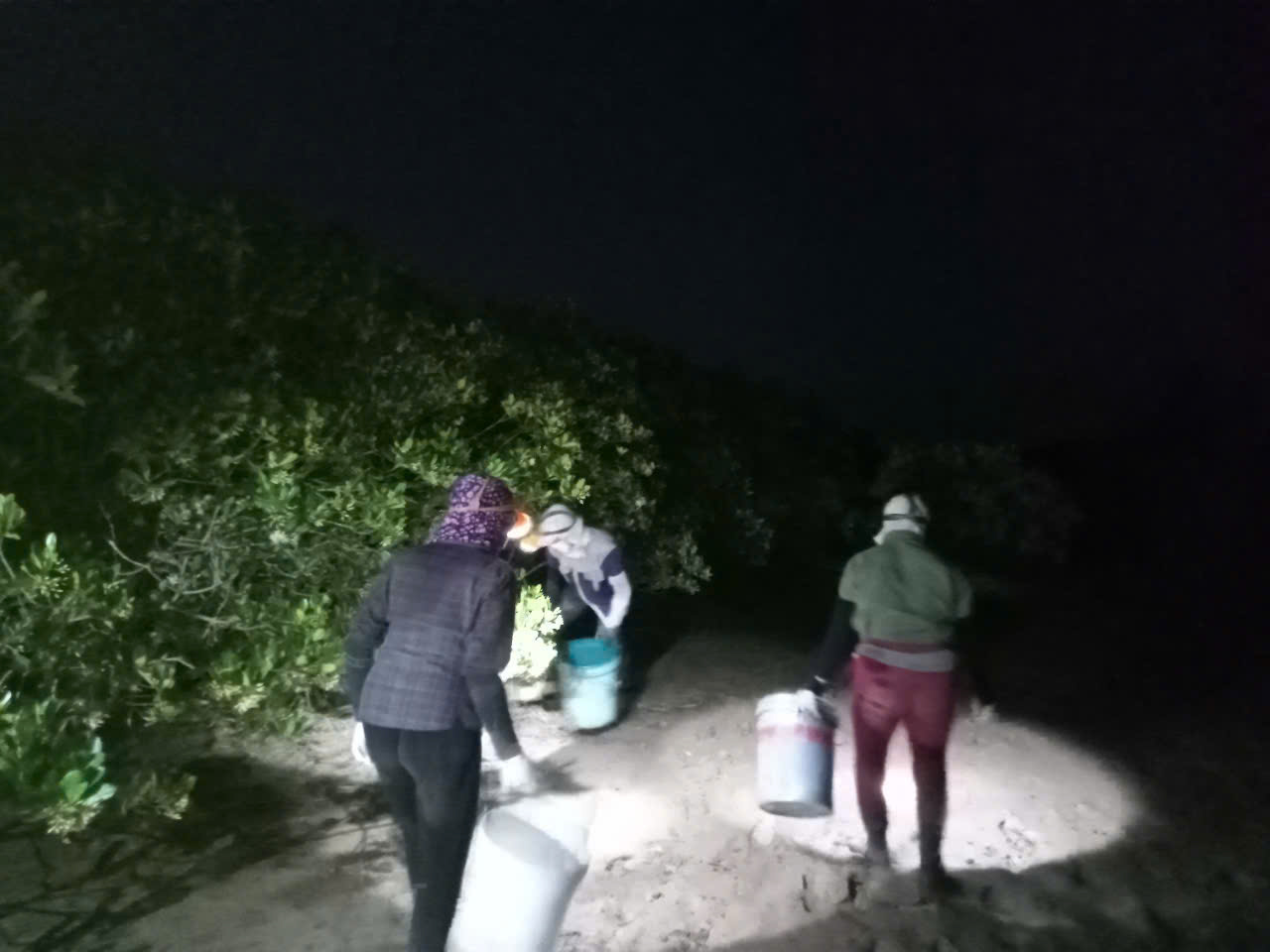 Nhọc nhằn mưu sinh theo dòng nước nổi: Nghề "săn" cáy biển ở Nam Định - 5