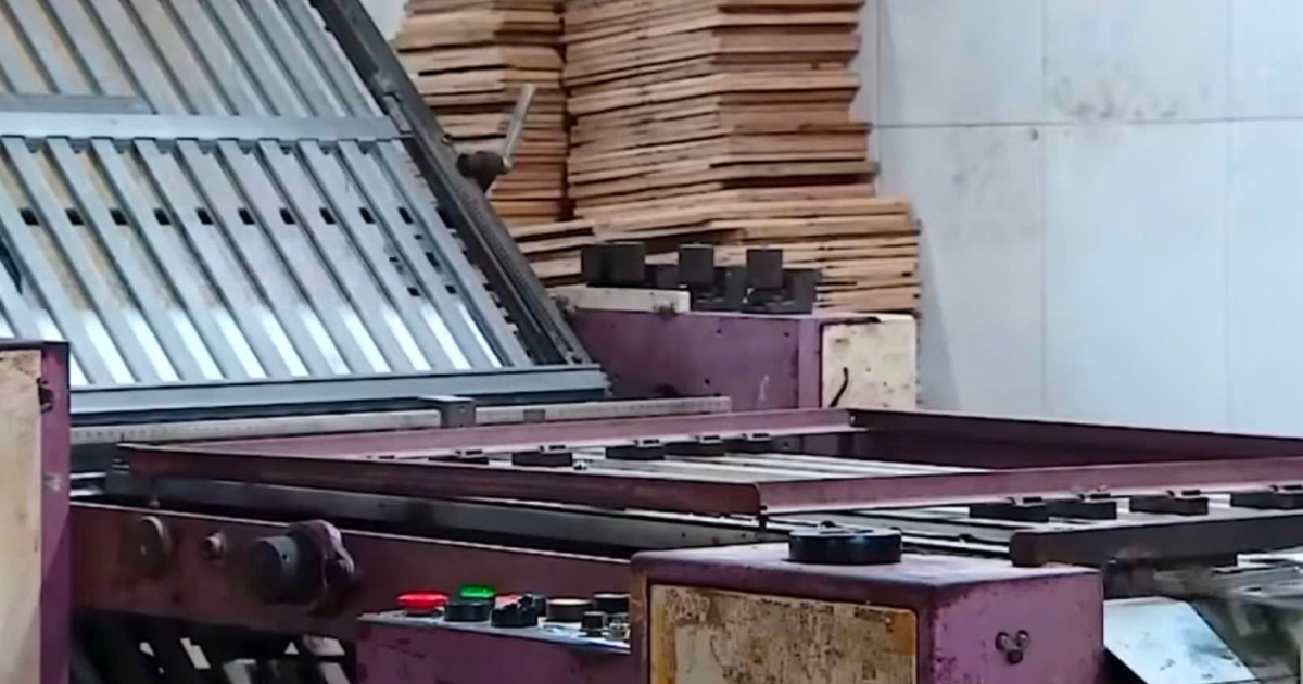 Phá đường dây sản xuất hàng trăm nghìn cuốn sách giáo khoa giả: Những mắt xích ngầm trong vỏ bọc doanh nghiệp - 6