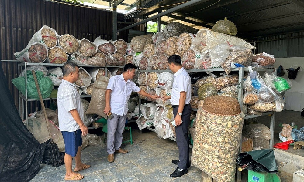 Cơ quan chức năng tiến hành kiểm tra một cơ sở sản xuất thuốc đông y trái phép tại xã Ba Vì, Hà Nội