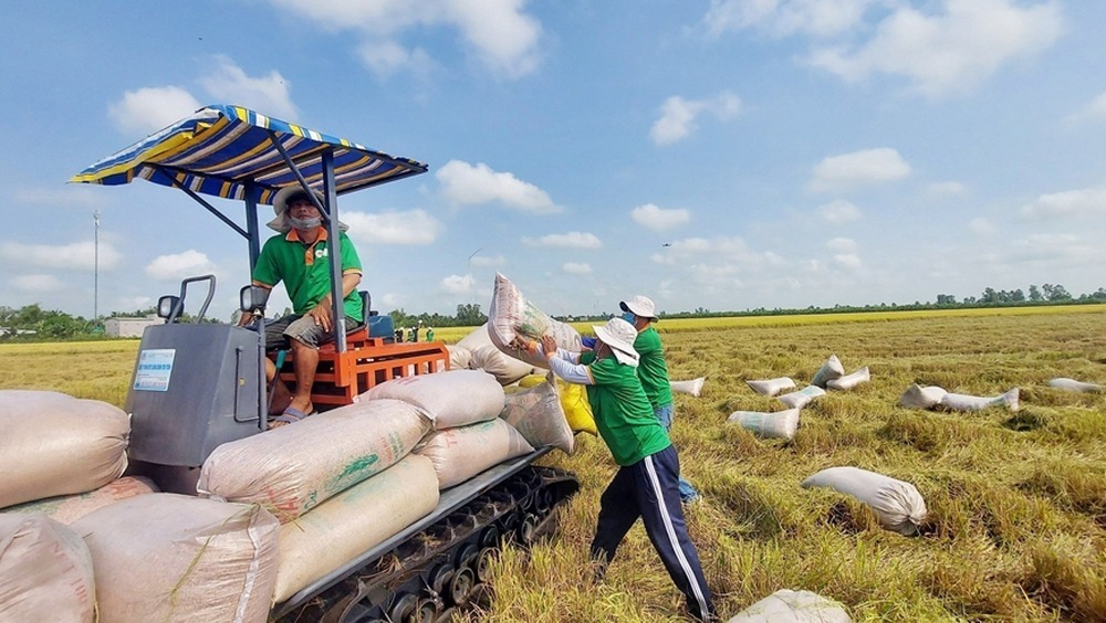 Những "dấu chân" mở lối, đưa kinh tế Việt Nam hội nhập toàn cầu - 10