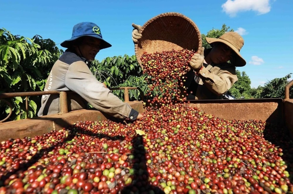 Những "dấu chân" mở lối, đưa kinh tế Việt Nam hội nhập toàn cầu - 12