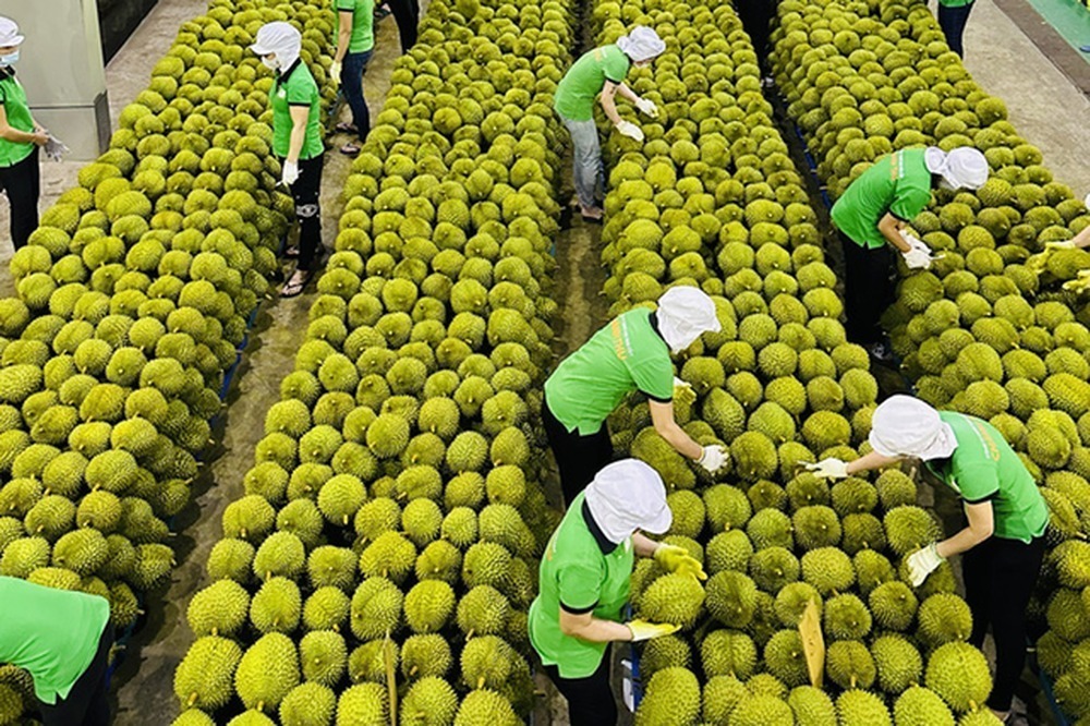 Những "dấu chân" mở lối, đưa kinh tế Việt Nam hội nhập toàn cầu - 13