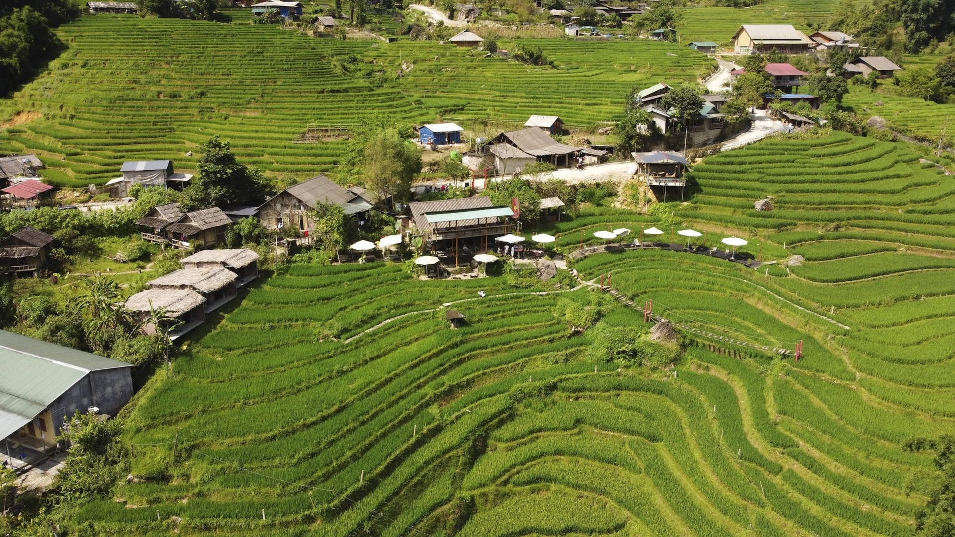 Chủ tịch UBND tỉnh Lào Cai Nguyễn Tuấn Anh: Khai mở tiềm năng “mỏ vàng xanh” vùng cao - 6