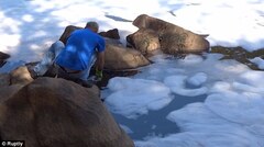 Xe máy chạy 500 km bằng... 1 lít nước