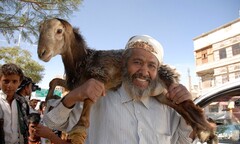 Những lễ hội giết động vật rùng rợn trên thế giới