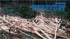 Vụ tranh chấp đất rừng: Người dân khát khao một mảnh đất sản xuất