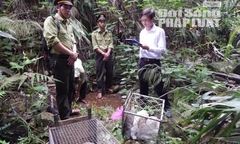 Thả 8 cá thể động vật quý hiếm bị người dân bắt về rừng tự nhiên