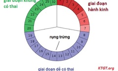 Tính ngày tránh thai như thế nào để an toàn?