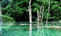 Khám phá hình ảnh thu nhỏ của Vườn quốc gia Phong Nha – Kẻ Bàng