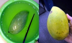 Trái cây  "ngậm " thuốc kích thích:  "Chỉ mặt " dễ dàng