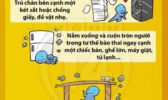 Check nhanh những nơi nên và không nên trốn khi có động đất