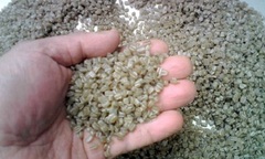 Gạo giả Trung Quốc gây chết người: Phân tích của chuyên gia