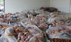 Ma trận thịt gà thối: Tránh cách nào?