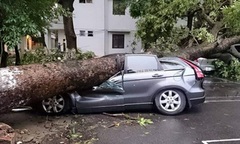 Ô tô bị hư hỏng vì siêu dông tại HN có được bồi thường không?