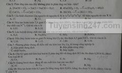 Đáp án đề thi môn Văn tốt nghiệp THPT quốc gia năm 2015