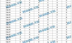 Đáp án đề thi môn Hóa học mã đề 748 tốt nghiệp THPT quốc gia năm 2015 