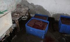  "Mục sở thị " quy trình chế tiết vịt chứa chất độc chết người