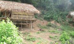 Vụ thảm sát ở Nghệ An: Tăng cường các điều tra viên kỳ cựu 