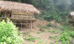 Đi tìm 'chìa khóa' của vụ án gây chấn động xứ Nghệ