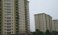 Cấm nói tục, chửi bậy, cãi nhau… khi sống ở chung cư