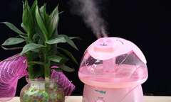 Cách chọn, sử dụng máy tạo độ ẩm hiệu quả