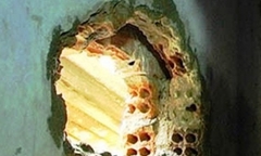 Đêm khuya, 3 tù nhân máu lạnh dùng dây thép đục tường trốn chạy