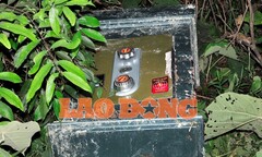 Trộm xong tài sản, 'đạo chích' ném 6 sổ tiết kiệm và két sắt trong bụi cây