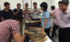 Thu giữ hơn 100kg ngà voi, sừng tê giác nhập lậu tại sân bay Nội Bài