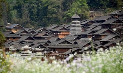 Bí ẩn loài hoa giúp mỗi gia đình trong ngôi làng TQ có 1 trai, 1 gái