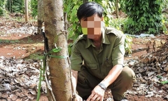 “Tiêu tặc” lộng hành dằn mặt nông dân, đòi bảo kê