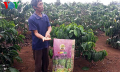 Phân bón giả tái xuất: Cách phân biệt phân bón thật - giả