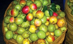 Cách phân biệt táo mèo Việt Nam và táo mèo Trung Quốc