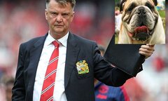 Học trò sợ Van Gaal vì có khuôn mặt giống… chó Bull