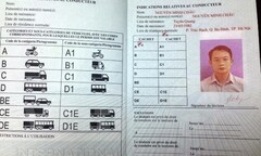 Chưa thể cấp giấy phép lái xe quốc tế cho người Việt Nam