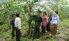 Hoạt động kết nghĩa của nhân dân hai biên giới Việt - Lào